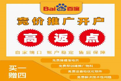 SEM竞价代运营案例：提升广告效果的关键策略